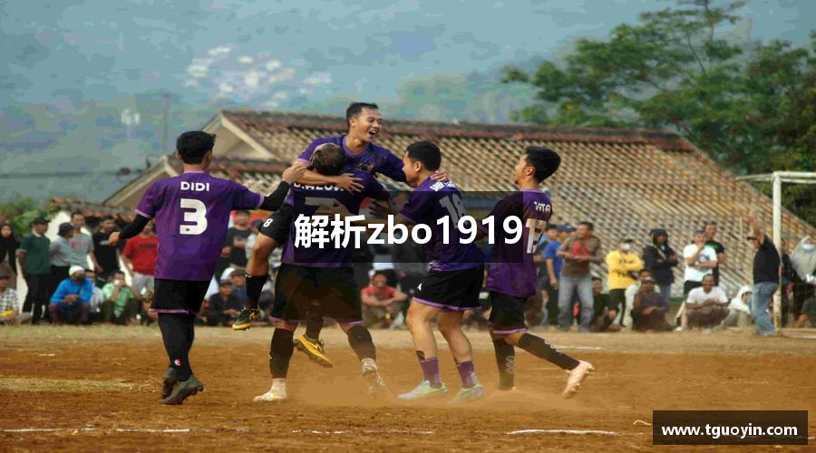 解析zbo1919